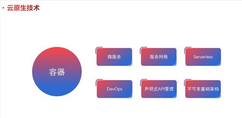 云原生模式 設(shè)計(jì)擁抱變化的軟件（一）——軟件設(shè)計(jì)與開(kāi)發(fā)